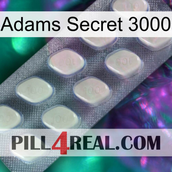 Adams Secret 3000 08.jpg